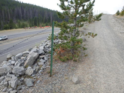 GDMBR:  The Frontage Road came near the Interstate again.